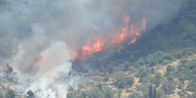  144 orman yangınının 134'ü kontrol altına alındı