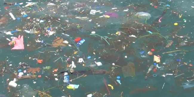 Üsküdar Sahili'nde kıyıya çöpler vurdu