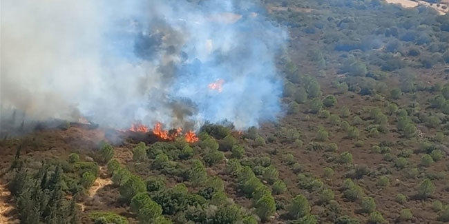 Foça'da makilik alanda yangın