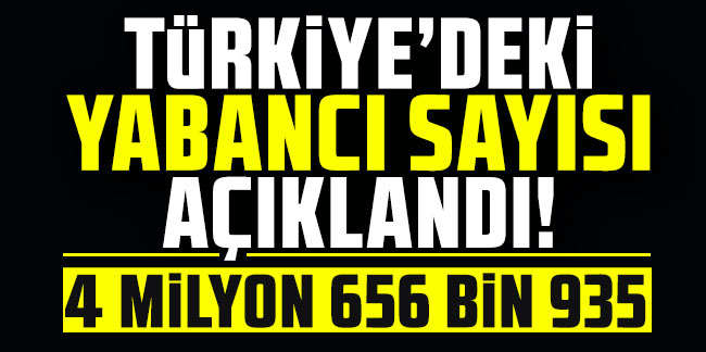 Türkiye'deki yabancı sayısı açıklandı!