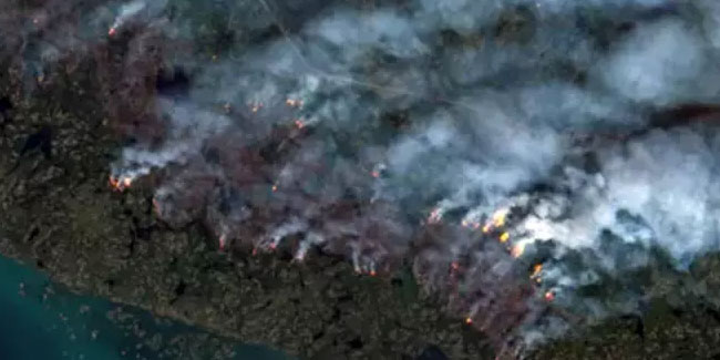 Kanada yangınları: British Columbia'da olağanüstü hal ilan edildi