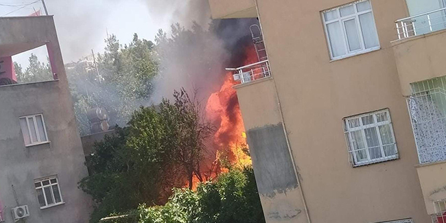 Siirt’te odunlukta çıkan yangın korkuttu: 3 çocuk dumandan etkilendi