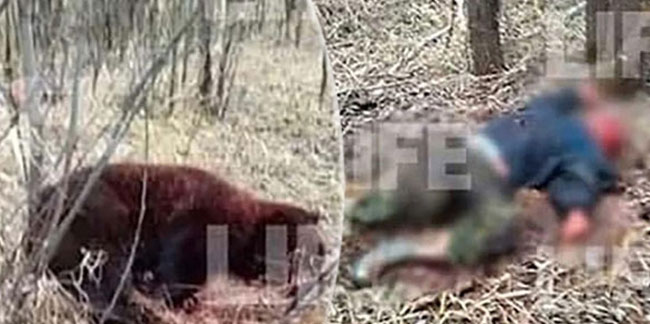 Rusya'da dehşete düşüren olay! Arkadaşını öldüren ayıyı dövüşerek etkisiz hale getirdi...
