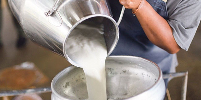 Süt fiyatları için zam talebi: Üretici zarar ediyor