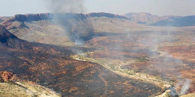Avustralya'da yangın: 100 bin hektarlık alan kül oldu