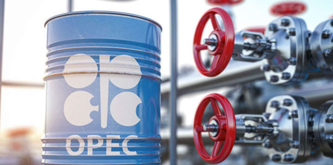Son kararı ABD'nin tepkisini çekmişti: OPEC'ten petrol talebi tahmini