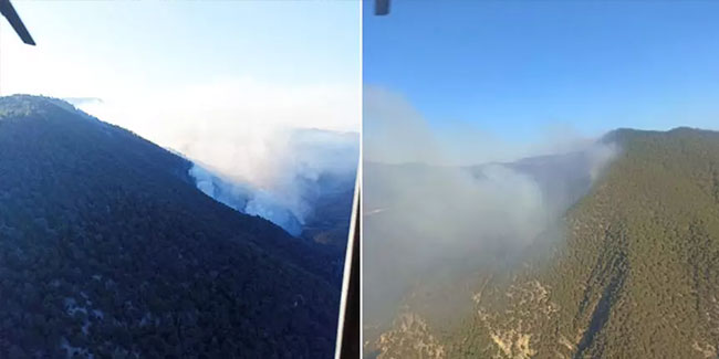 Bolu'daki orman yangınına havadan müdahale