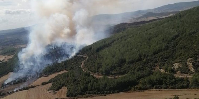 Gelibolu’daki orman yangını kontrol altına alındı