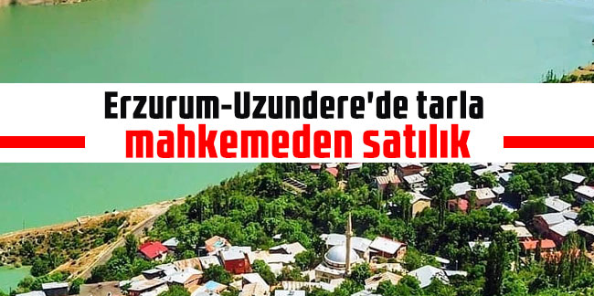 Erzurum-Uzundere'de tarla mahkemeden satılık