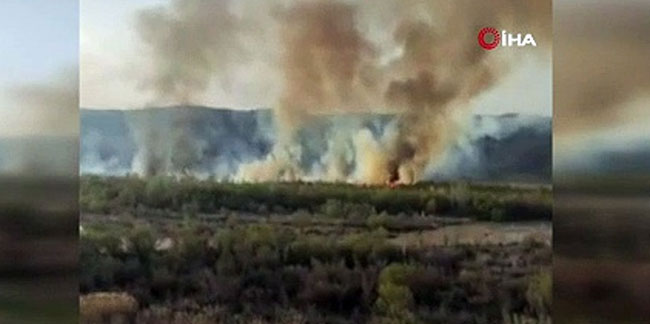 Ermenistan, Türkiye sınırındaki Ormanı bilerek ateşe verdi