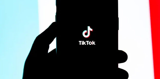 TikTok'tan skandal itiraf: O hesapları tek tek takip ettik