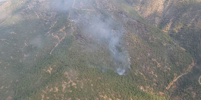 Eskişehir’de 70 hektar ormanlık alan kül oldu