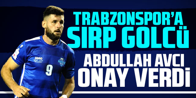 Trabzonspor'a Sırp golcü Milan Makaric! Abdullah Avcı onay verdi