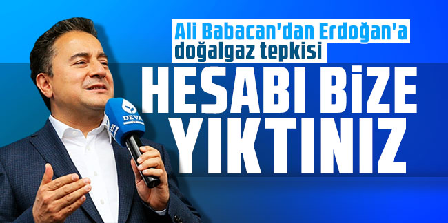 Ali Babacan'dan Erdoğan'a doğalgaz tepkisi: Hesabı bize yıktınız