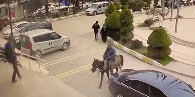 At arabasına el konulan kişi atıyla belediyeye girmeye çalıştı