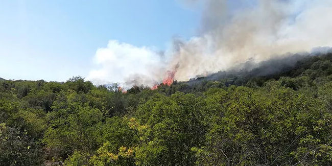 Antalya Demre'de orman yangını! Havadan müdahale ediliyor