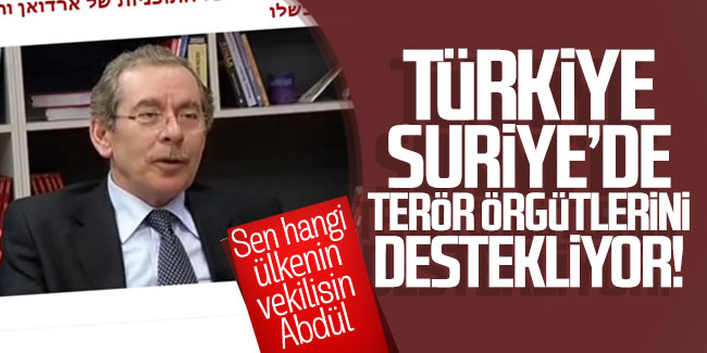 Abdüllatif Şener, Türkiye'yi terörü desteklemekle suçladı