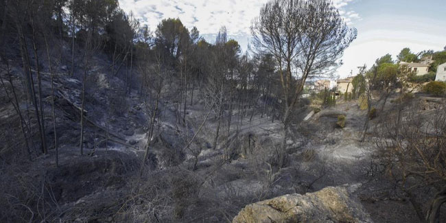 İspanya'da orman yangını: Bin 400 hektarlık alan kül oldu