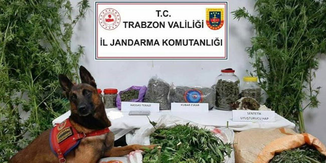 Trabzon’da uyuşturucu operasyonu! 5 şüpheli gözaltına alındı