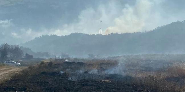 Çanakkale Valiliği orman yangınlarına karşı uyardı