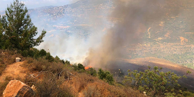Lübnan'da ormanlık alanda yangın