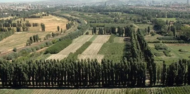 Atatürk Orman Çiftliği'nin için tepki çeken bir imar kararı daha