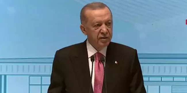 Erdoğan: Bu caniler etkisizleştirilmeseydi yurt dışında korunacaktı