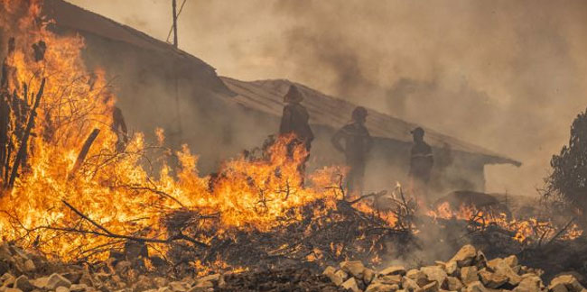 Orman yangınları 2 gündür söndürülemiyor: Bin hektar alan zarar gördü