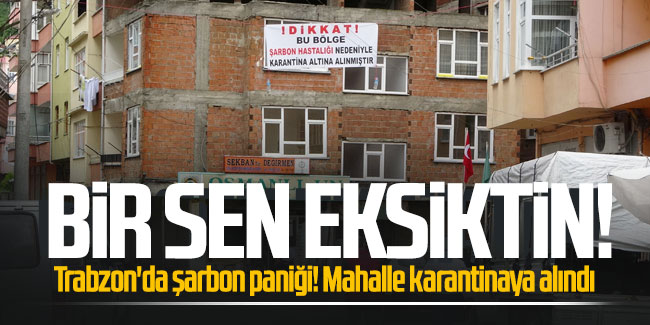 Trabzon'da şarbon paniği! Mahalle karantinaya alındı