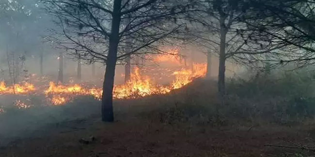 Çanakkale'de yangın: Alevler hızla yayıldı
