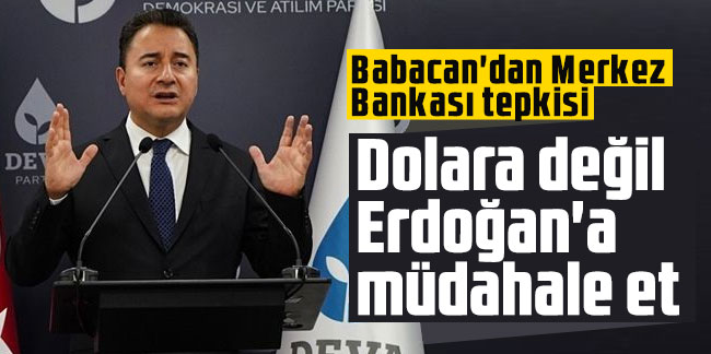 Babacan'dan Merkez Bankası tepkisi: Dolara değil Erdoğan'a müdahale et