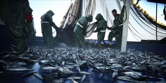 Balıkçılıkta av sezonu sona erdi: Yasak başladı