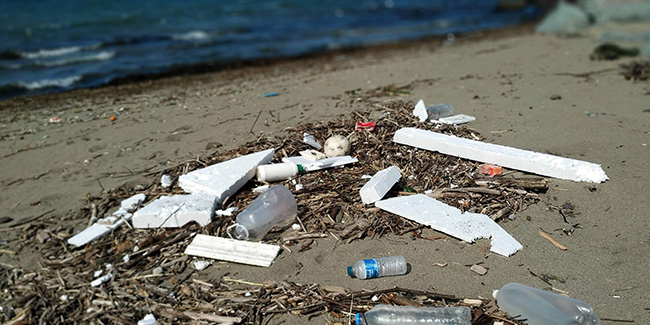 Doç. Dr. Coşkun Erüz: “Karadeniz’de katı atık ve plastik kirliliği hızla artıyor”