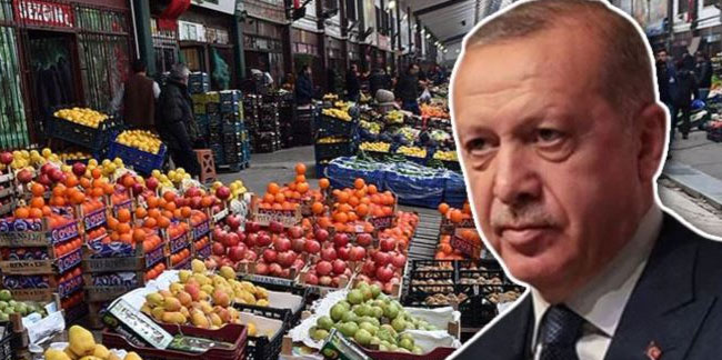 Erdoğan 'yasa değişecek' demişti: Haller sermayeye mi devredilecek?