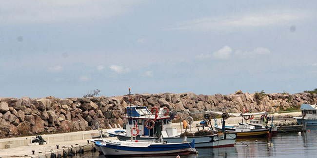 Giresun'da balıkçılar yeni sezonda palamut avından umutsuz