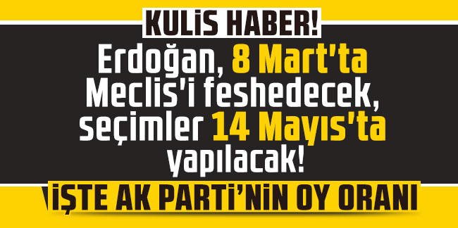 Erdoğan, 8 Mart'ta Meclis'i feshedecek, seçimler 14 Mayıs'ta yapılacak! İşte AK Parti'nin oy oranı