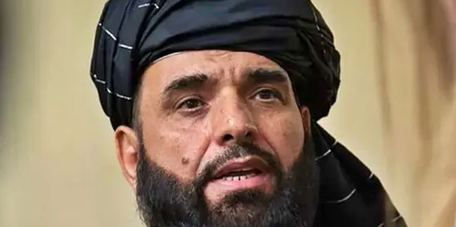 Taliban Sözcüsü: Uçaklardan düşen insanlar bizden kaçmıyordu!