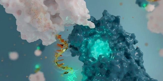 Sentetik DNA ile nano-anten geliştirildi