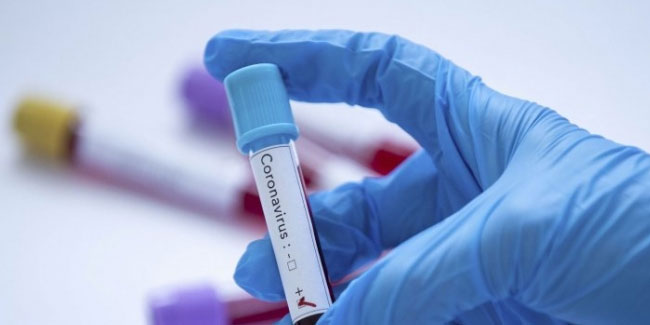 Avrupa'da iki ülkede daha koronavirüs tespit edildi