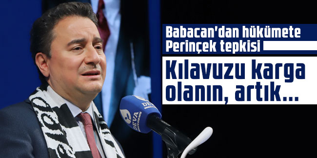 Babacan'dan hükümete Perinçek tepkisi: Kılavuzu karga olanın, artık...