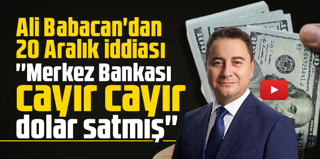 Ali Babacan'dan 20 Aralık iddiası: ''Merkez Bankası cayır cayır dolar satmış''