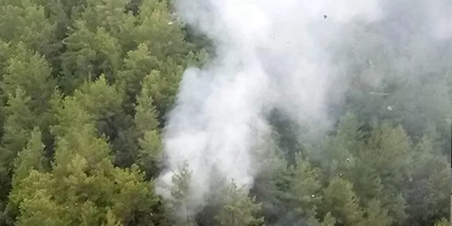 Manavgat'ta yıldırım düşen ormanda yangın