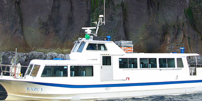 Japonya'da kaybolan turist botundaki 9 kişi bulundu