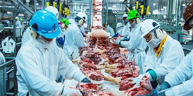 Domuz eti üreten fabrikada 370’ten fazla işçide corona virüs çıktı