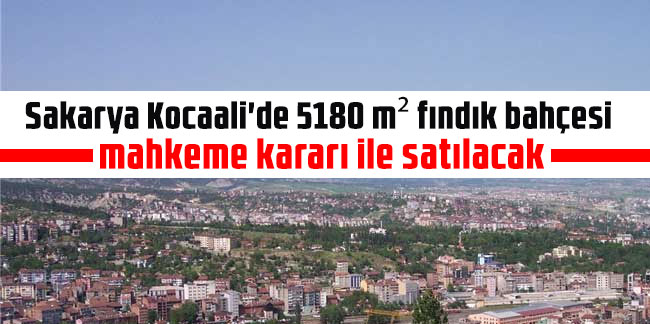Sakarya Kocaali'de 5180 m² fındık bahçesi mahkeme kararı ile satılacak