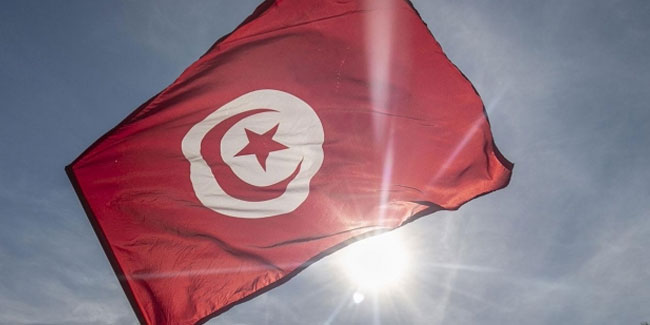Yurt dışında yaşayan Tunuslular anayasa referandumu için sandık başında