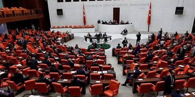 AK Partili vekilden Meclis'te skandal sözler: ''Havlatıyorsun''