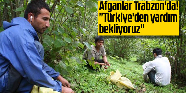 Afganlar Trabzon'da! ''Türkiye'den yardım bekliyoruz''