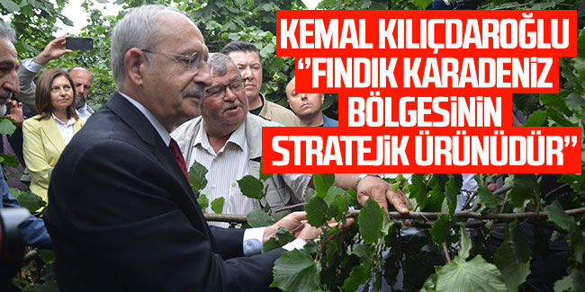 Kılıçdaroğlu: "Fındık Karadeniz Bölgesi'nin stratejik ürünüdür"