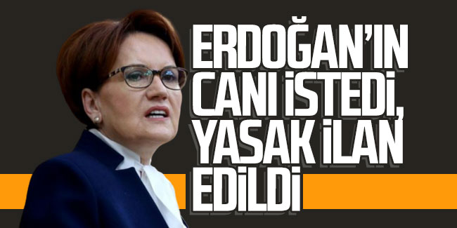 Meral Akşener: ''Erdoğan'ın canı istedi, yasak ilan edildi''